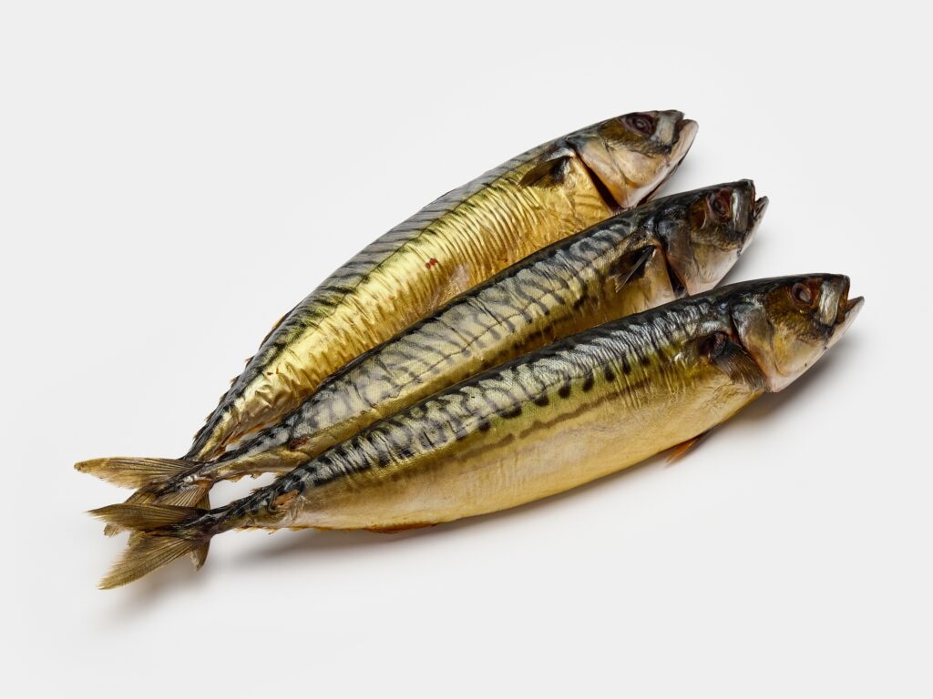 Kaltgeräucherte Makrele