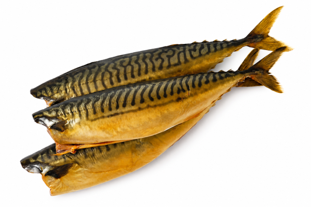Makrele kaltgeräuchert kaufen, Makrele Norwegen, geräucherter Fisch Deutschland, CAPIBARA Meeresfrüchte, Räucherfisch online kaufen Deutschland